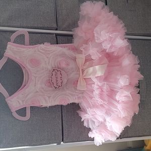 12 month Girl pink dress